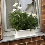 Apartment Loehr *