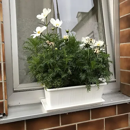 Apartamento Loehr *